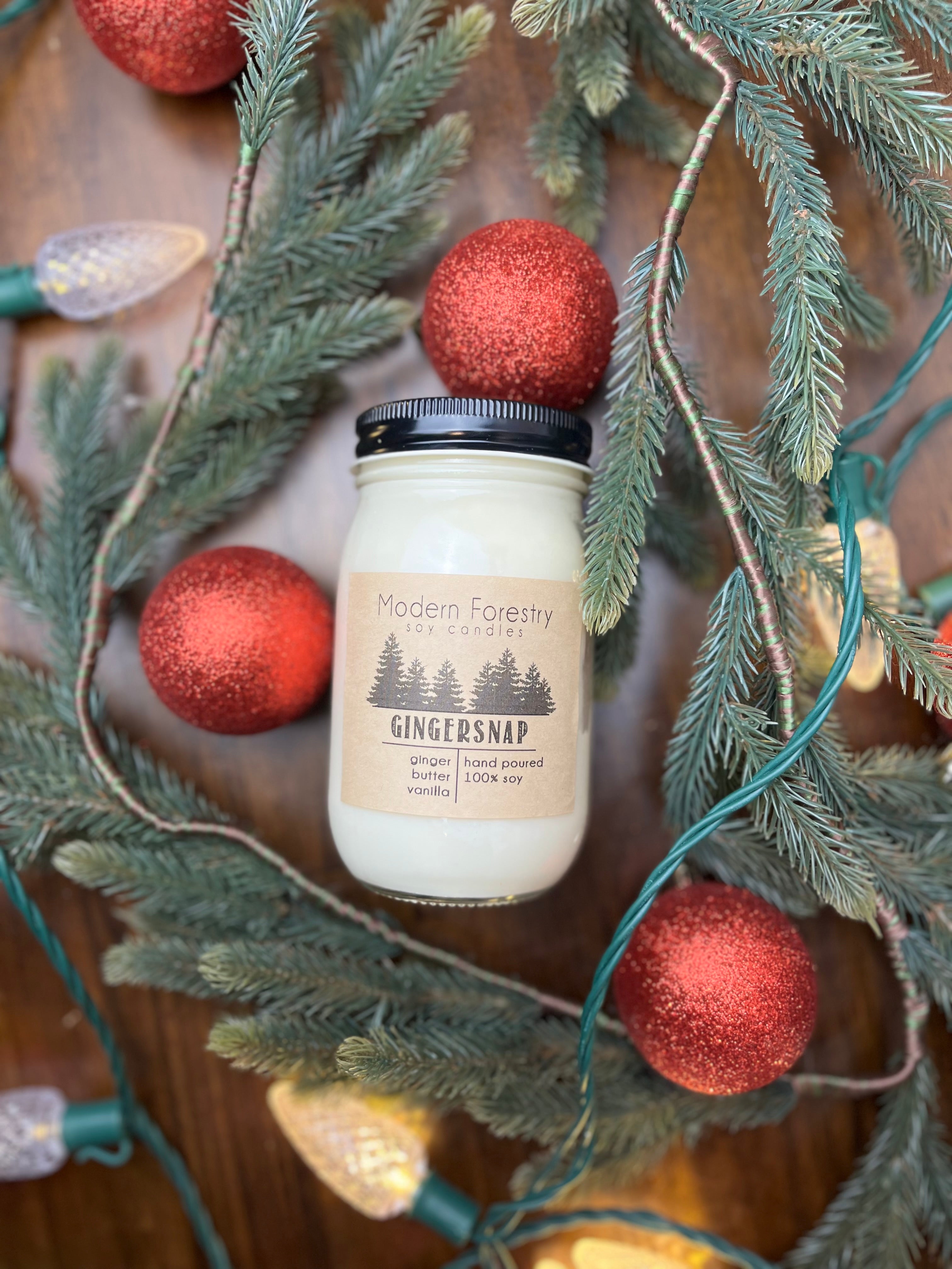 Modern Forestry 4oz Candle Gingersnap