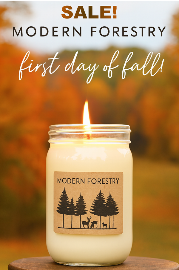 3 (16oz) Soy Candle Bundle