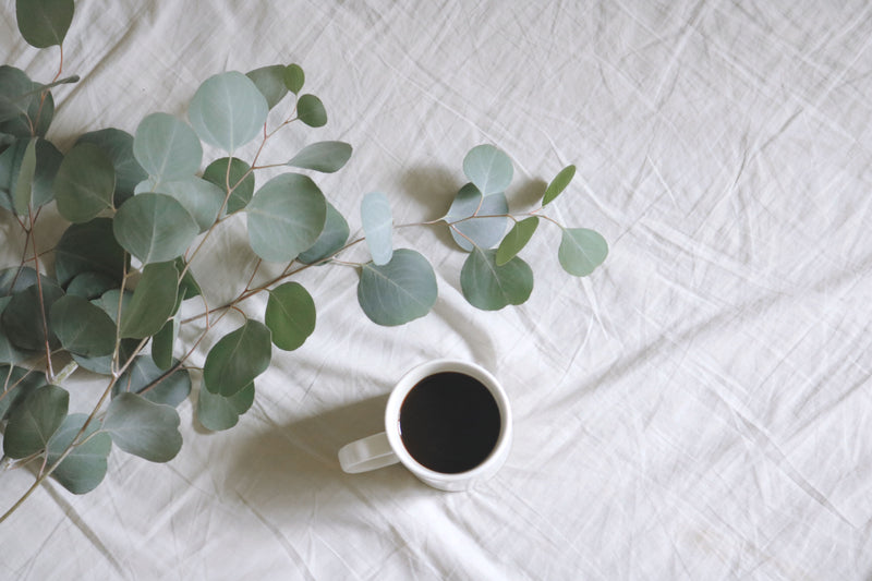 Wholesale Eucalyptus Mint