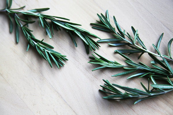 Wholesale Rosemary